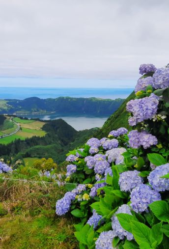 Attēls - Azoru salas - Lielais paradīzes ceļojums